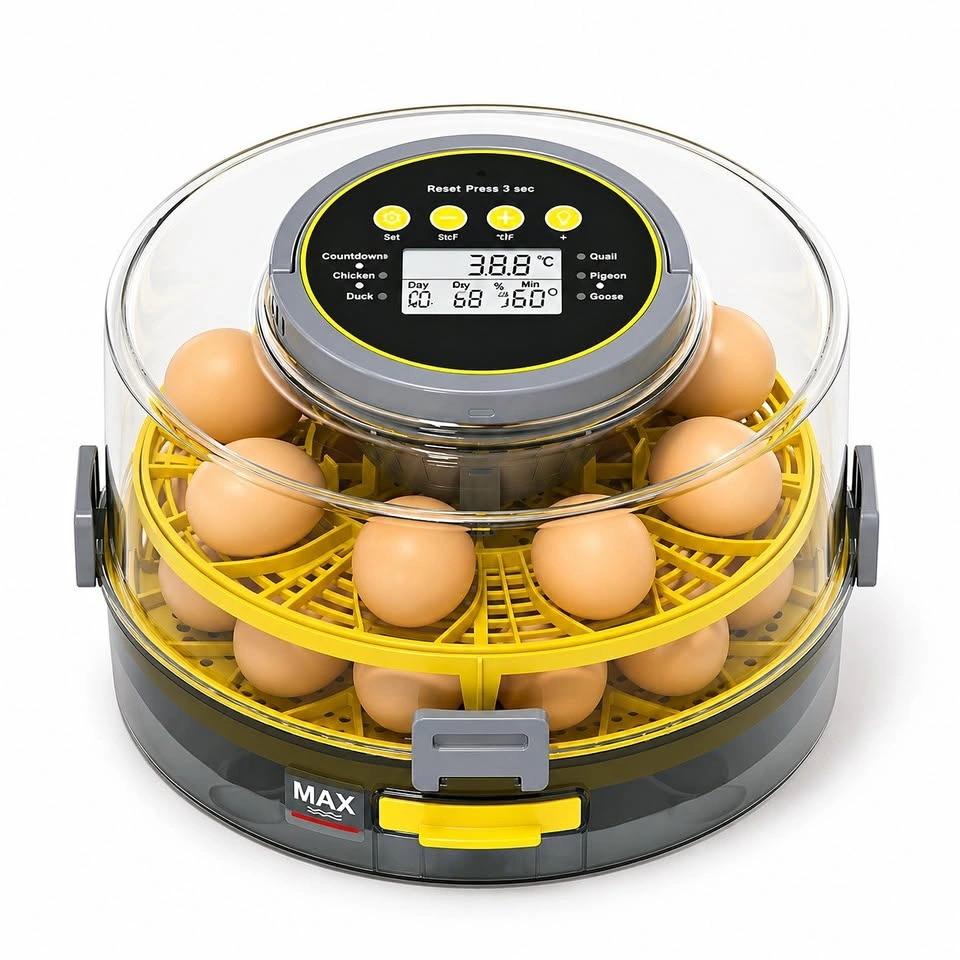 Egg Incubator with Automatic Turning and Humidity Control