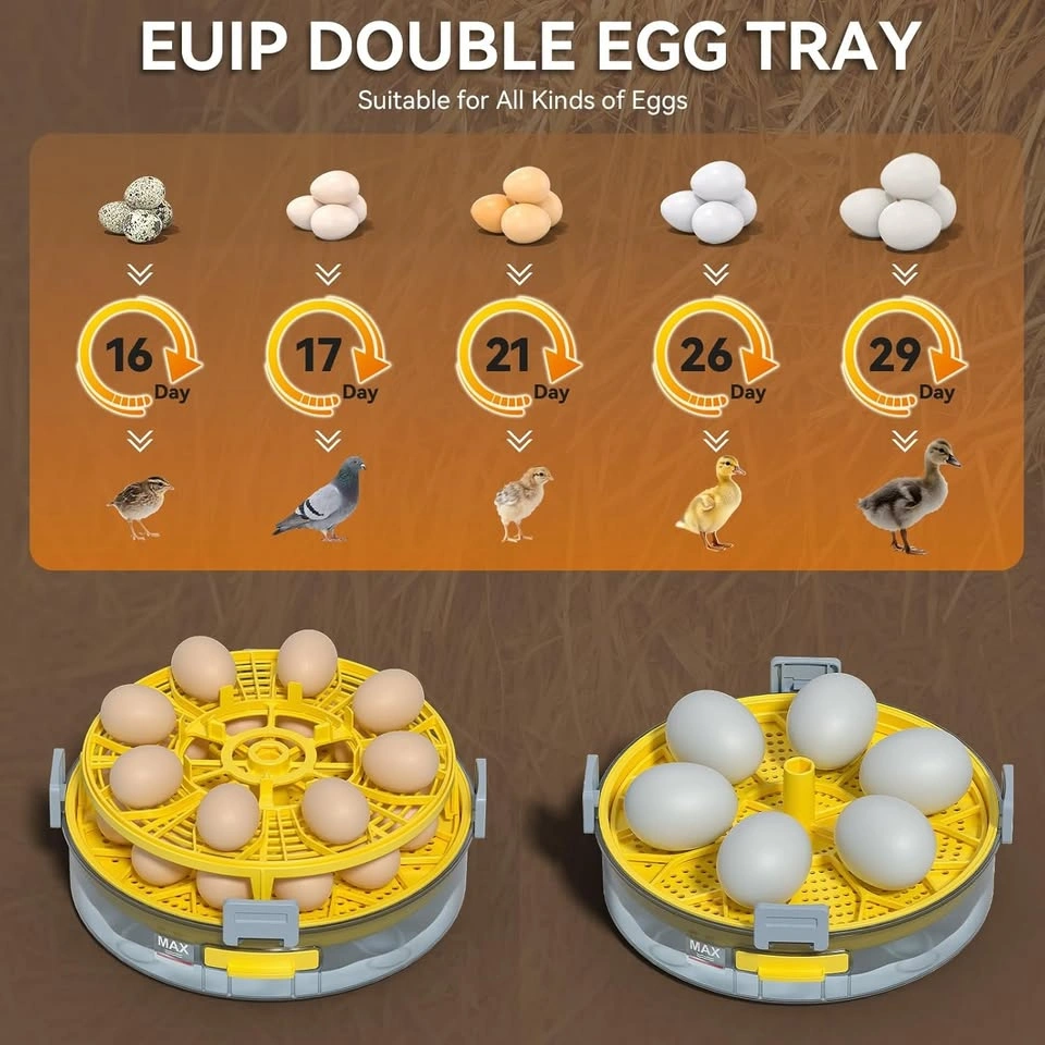 Egg Incubator with Automatic Turning and Humidity Control - photo 2