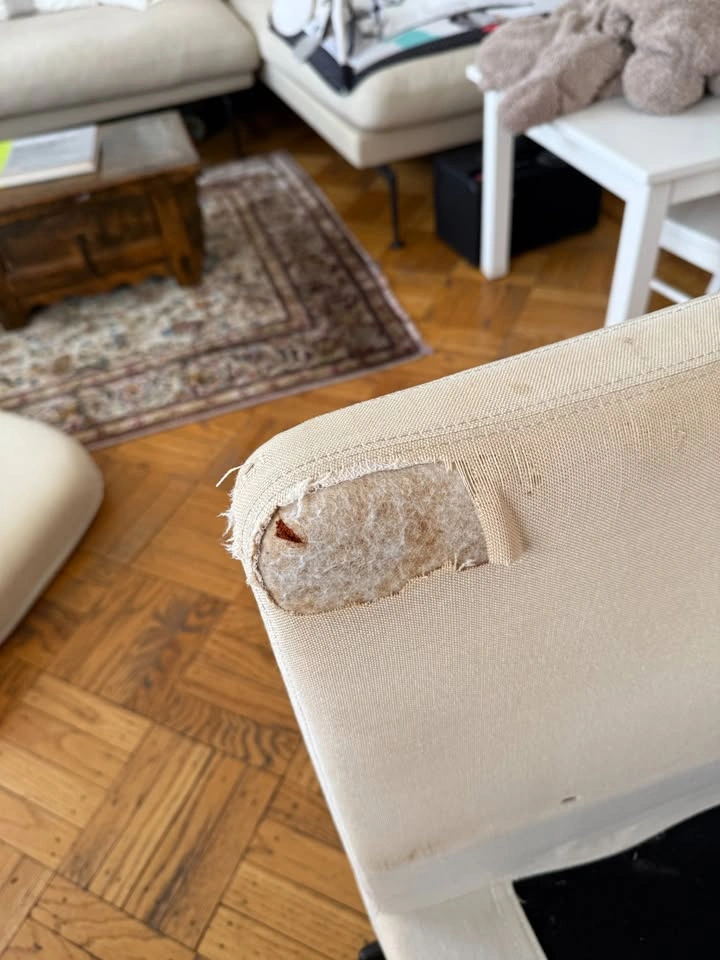 Suita Club Armchair - used and needs new slip cover - photo 5