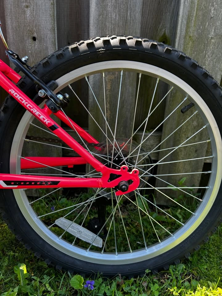 Girls' 6-speed Mountain Bike - photo 3
