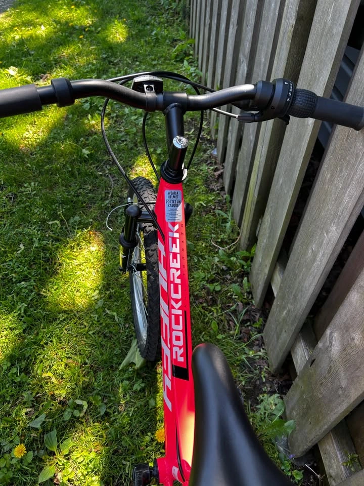 Girls' 6-speed Mountain Bike - photo 4