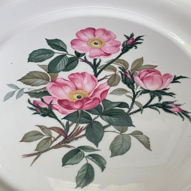 Vintage Harker Pottery Co Wild Rose plate platter 22k gold - photo 2