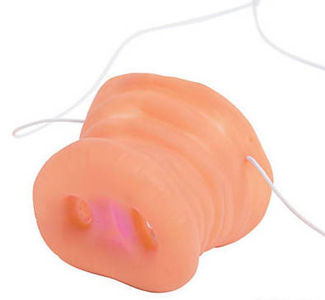 Funny Piggy Nose