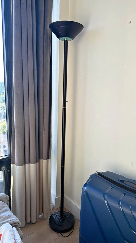 Black Torchiere Floor Lamp