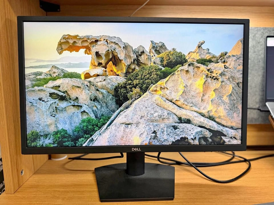 [Moving Sale] Monitor