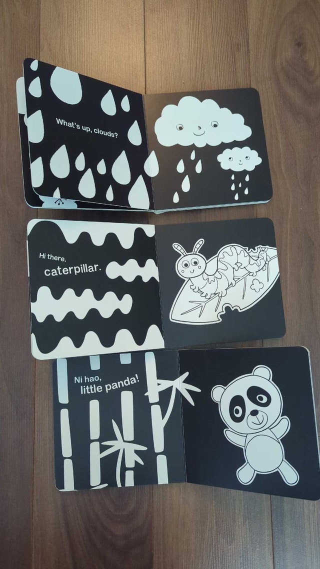 Black and White Infant Books and Cards - photo 2