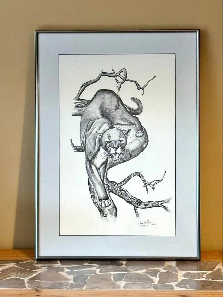 Mountain Lion Artwork Print “Intimidation” by Tenny Whitfield