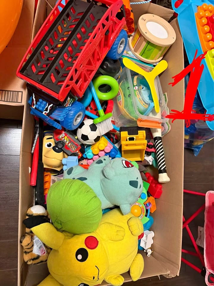 Toy Box Bundle