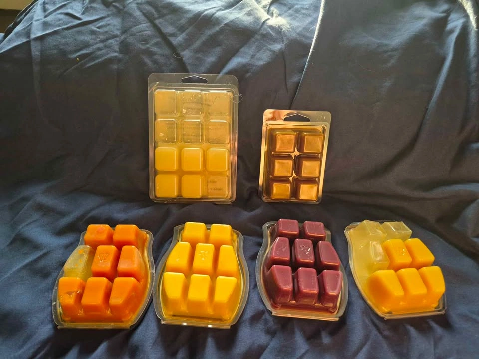Scentsy Lot - photo 2