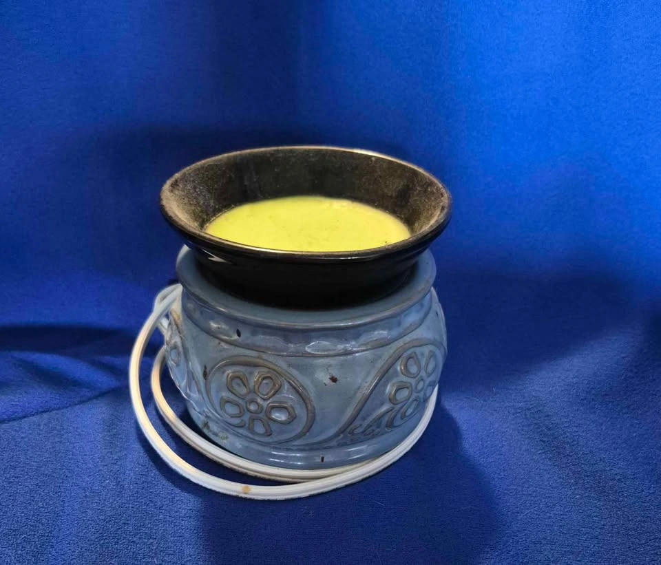 Scentsy Lot - photo 3