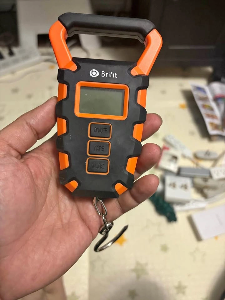 Brifit Digital Hanging Scale