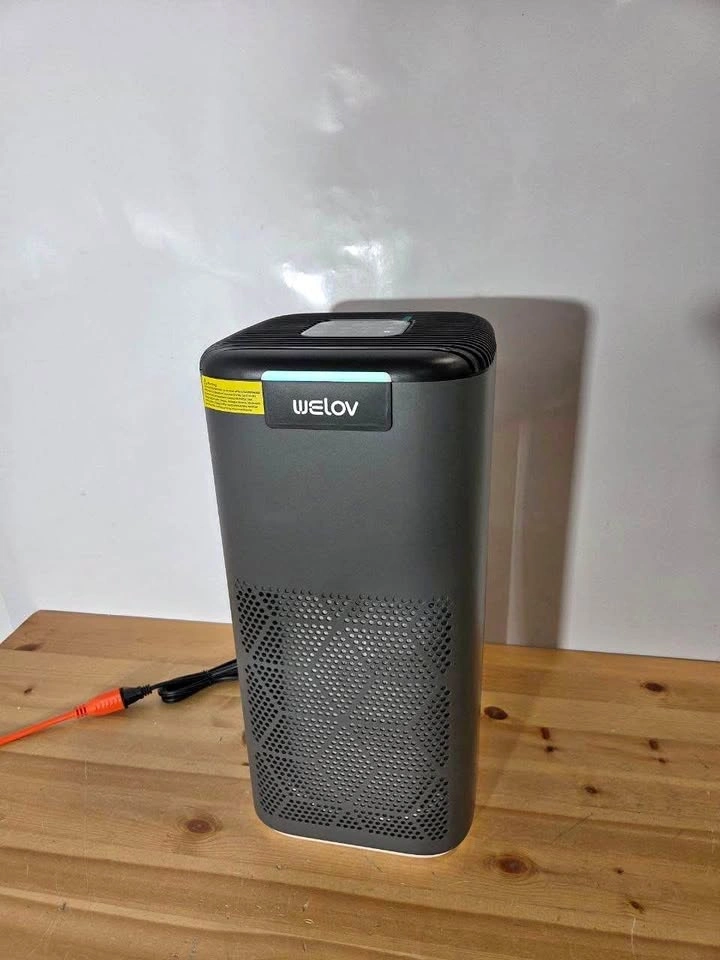 WELOV Smart Air Purifier for Home Large Room H13 True HEPA
