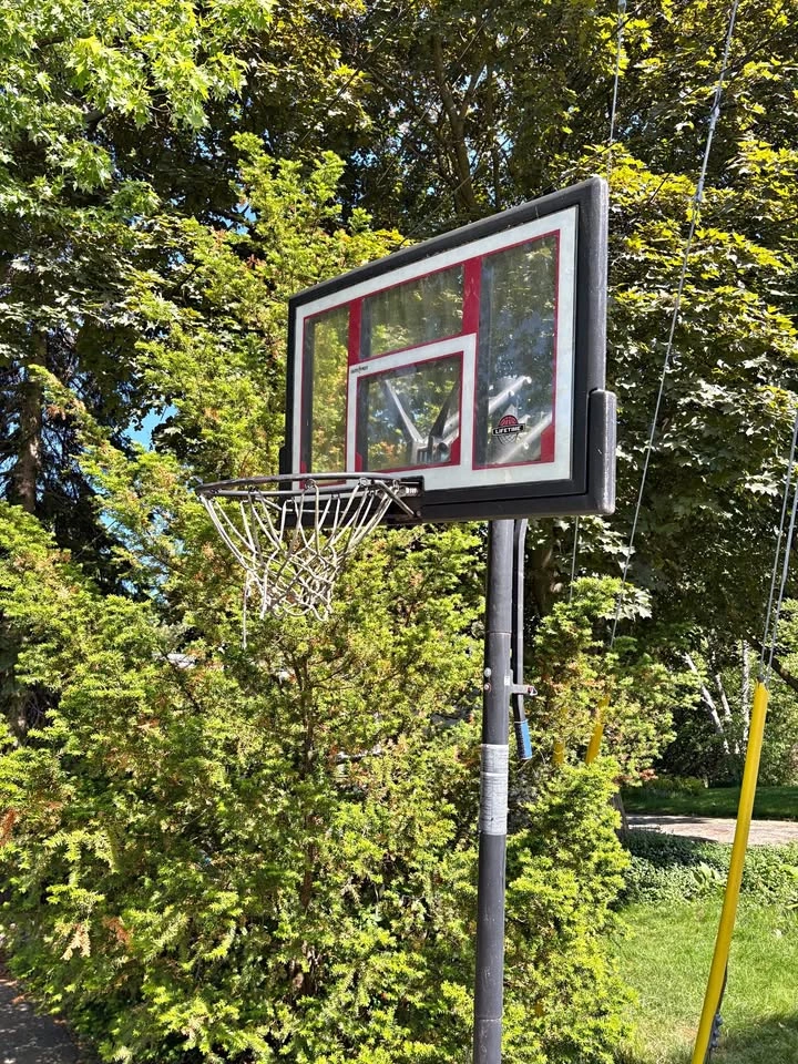 Portable Basketball Net / Hoop – Lifetime Backboard – Used
