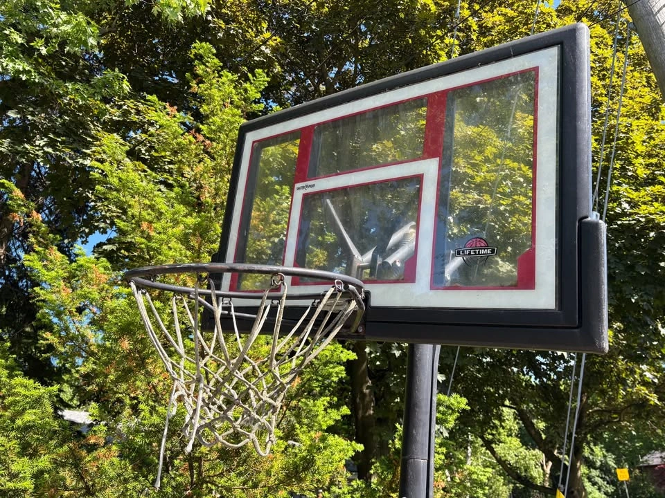 Portable Basketball Net / Hoop – Lifetime Backboard – Used - photo 2