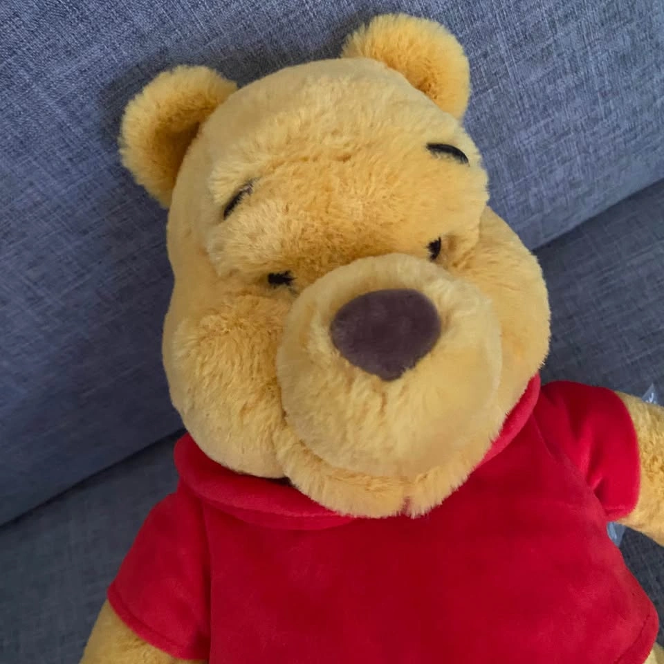 Disney store Winnie the Pooh Plush Toy - photo 4