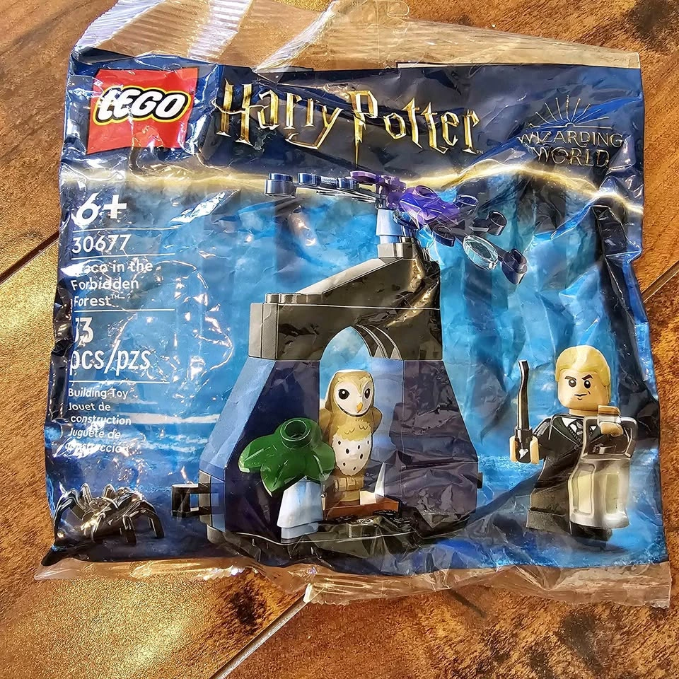 LEGO Harry Potter Draco in the Forbidden (30677)