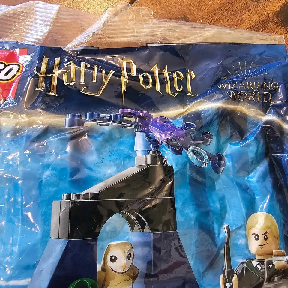 LEGO Harry Potter Draco in the Forbidden (30677) - photo 3