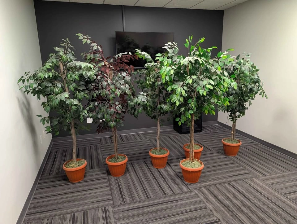 Artificial plants about 5 ft high in great condition