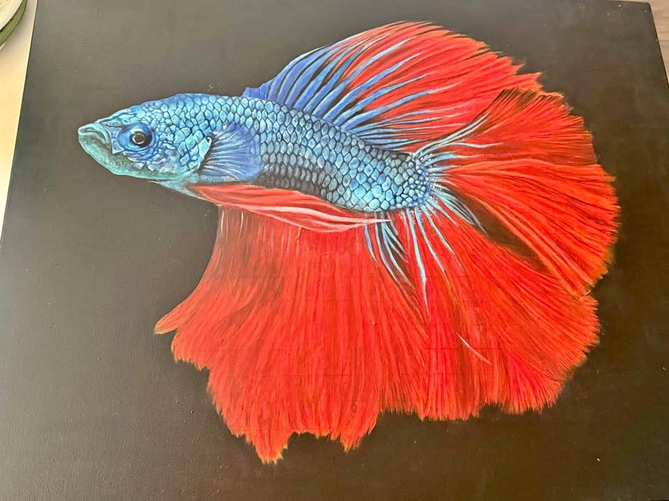 Original hand painted oil, Blue and Red Betta Fish Painting
