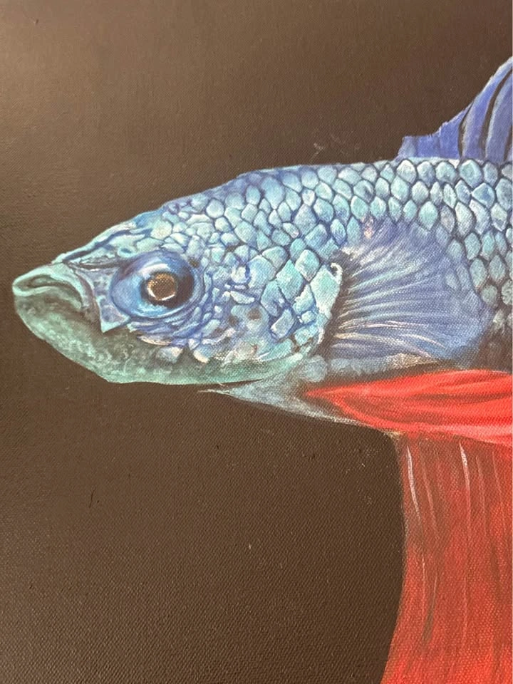 Original hand painted oil, Blue and Red Betta Fish Painting - photo 2