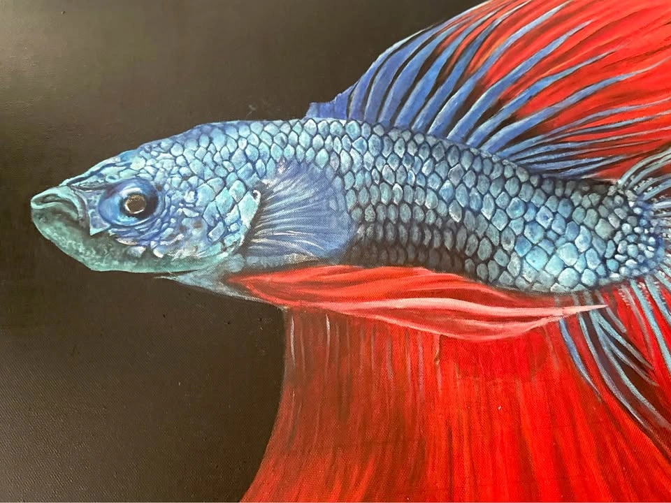 Original hand painted oil, Blue and Red Betta Fish Painting - photo 3