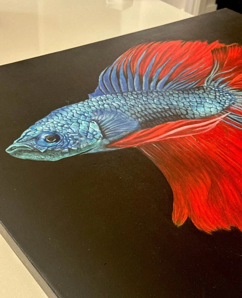 Original hand painted oil, Blue and Red Betta Fish Painting - photo 4