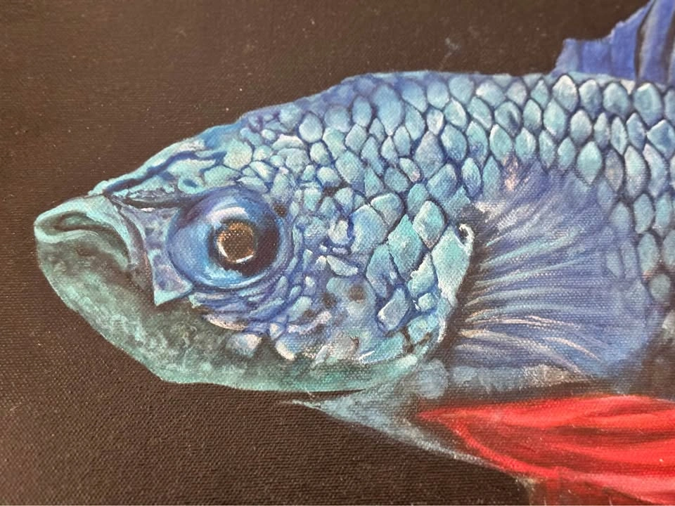 Original hand painted oil, Blue and Red Betta Fish Painting - photo 5