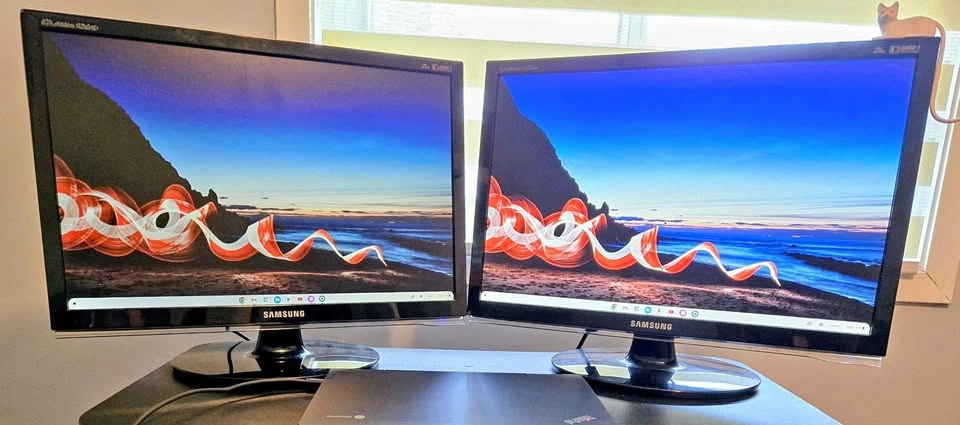 Samsung 22 inch LCD monitors (quantity: 2)