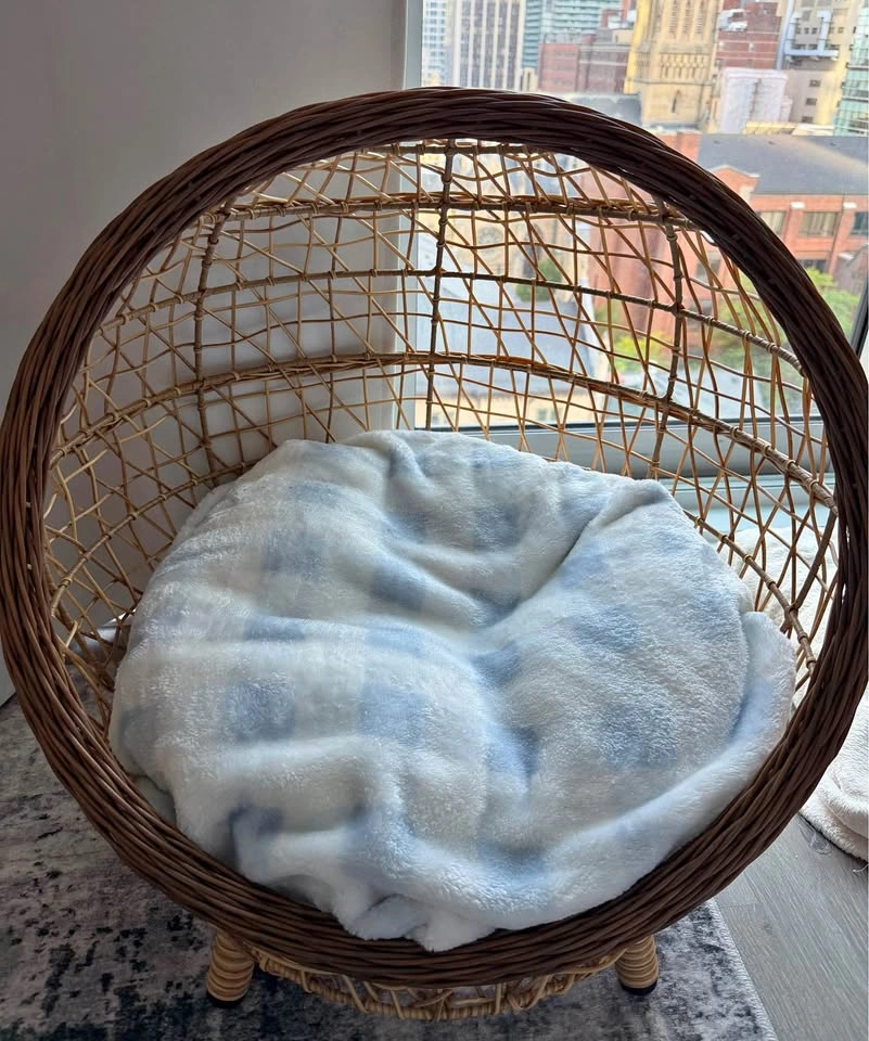Brand New Boho Wicker Pet Bed (Dog or Cat) – Never Used