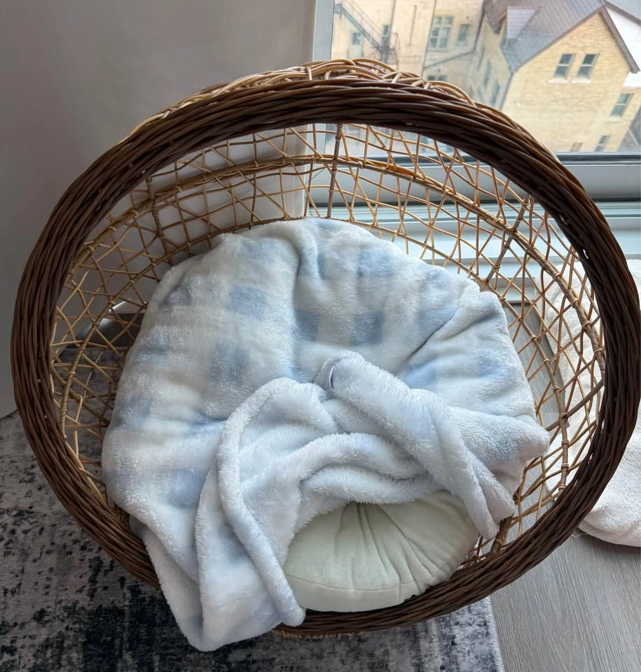 Brand New Boho Wicker Pet Bed (Dog or Cat) – Never Used - photo 2