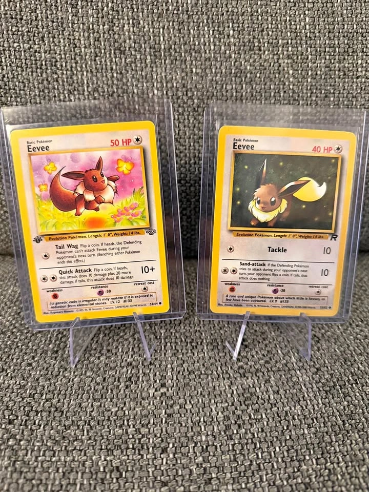Vintage Pokemon Eevee Pair