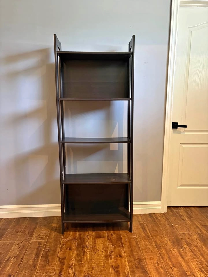 Ladder Bookshelf