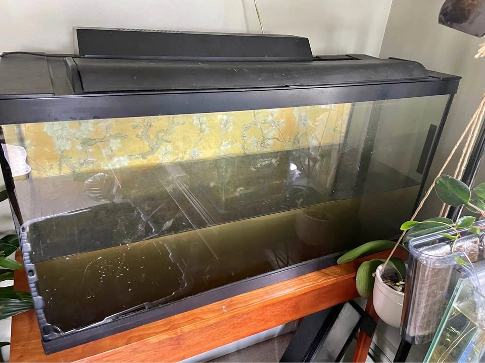40 gal Large glass aquarium with lid