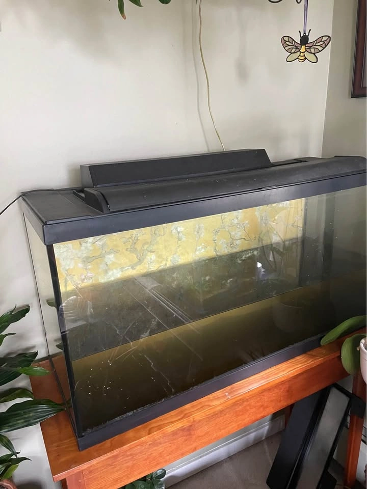 40 gal Large glass aquarium with lid - photo 2