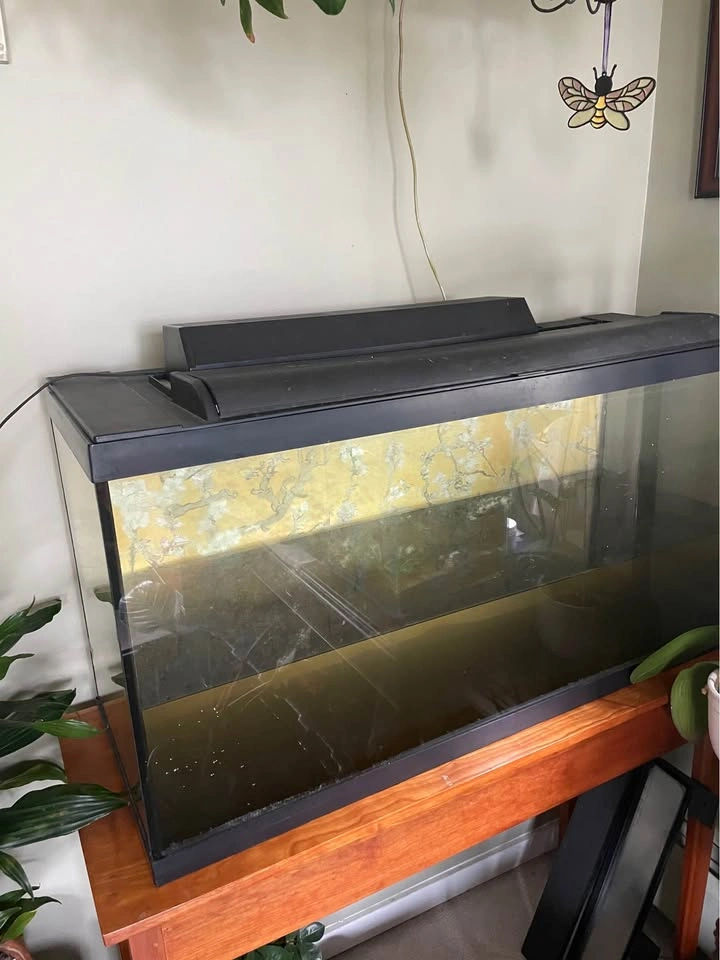 40 gal Large glass aquarium with lid - photo 3