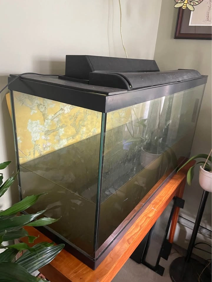 40 gal Large glass aquarium with lid - photo 4