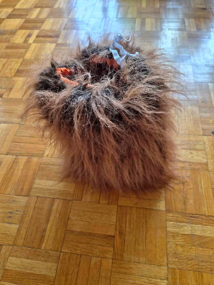 Dog Halloween Costume Lion