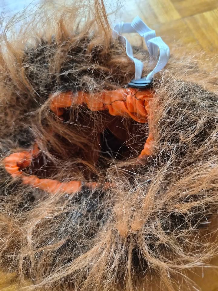 Dog Halloween Costume Lion - photo 2