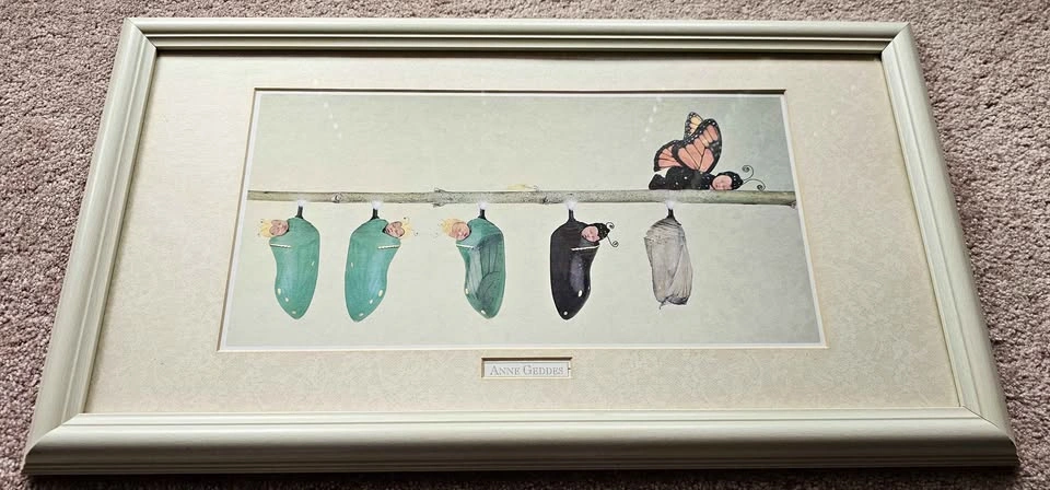 Anne Geddes baby butterfly caterpillar framed art