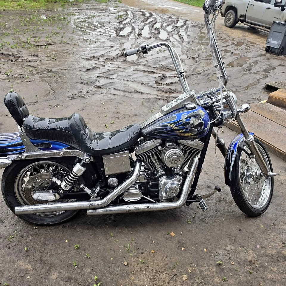 2003 Harley-Davidson Dyna Wide Glide