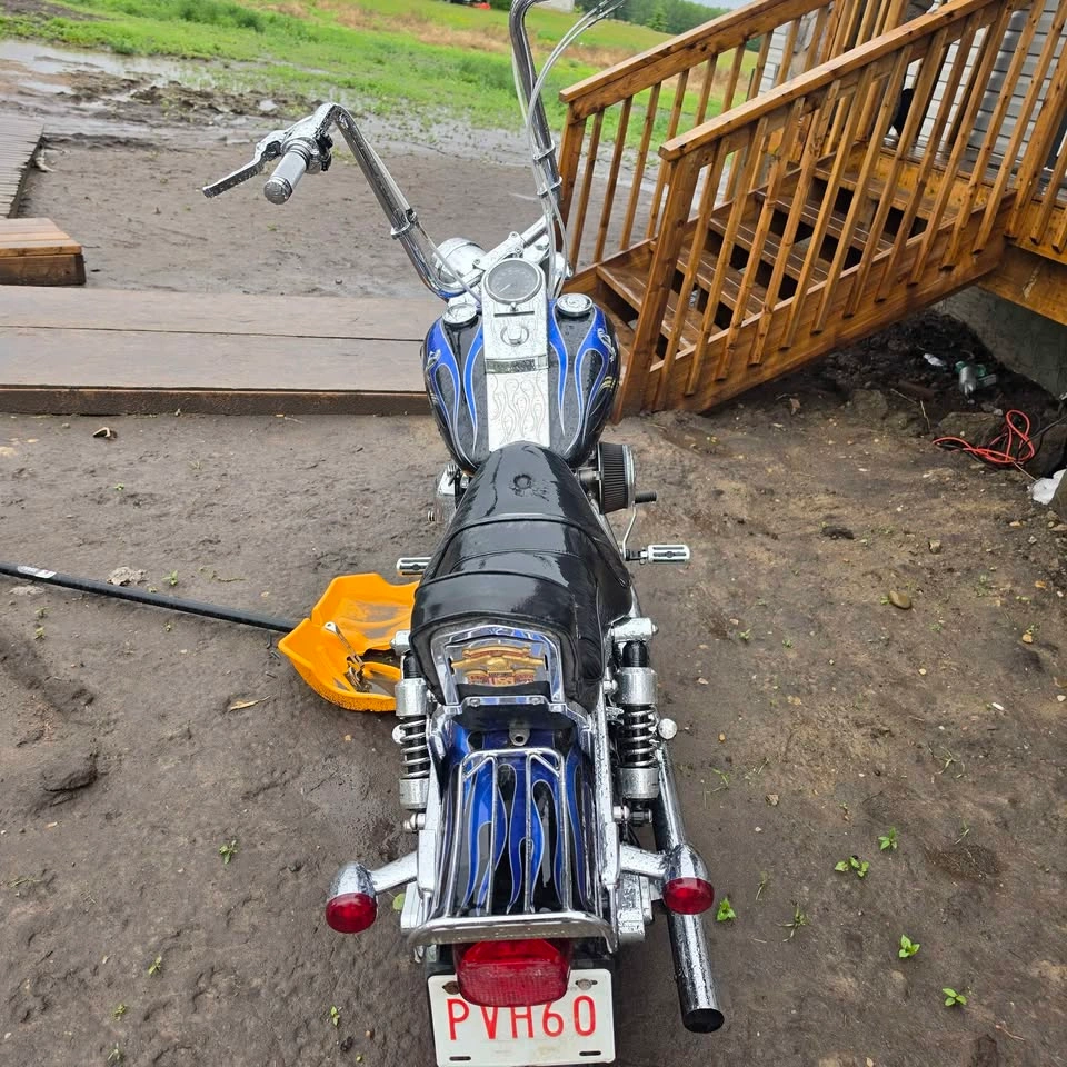 2003 Harley-Davidson Dyna Wide Glide - photo 2
