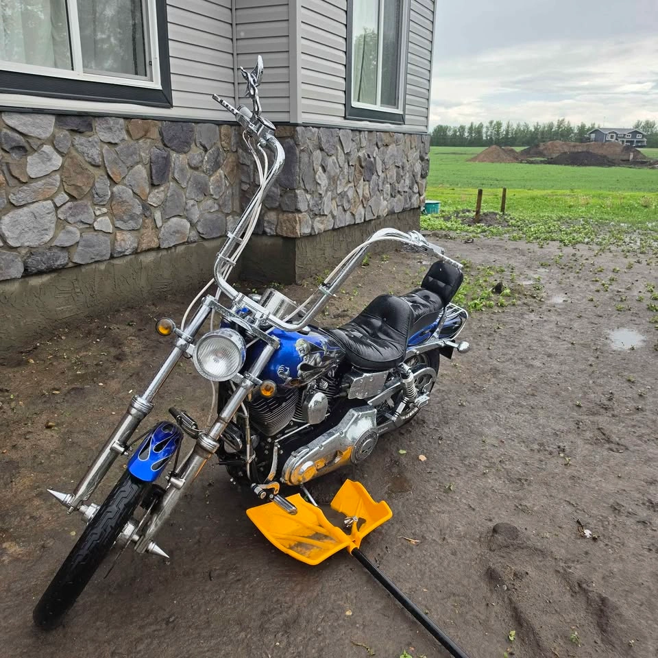 2003 Harley-Davidson Dyna Wide Glide - photo 3