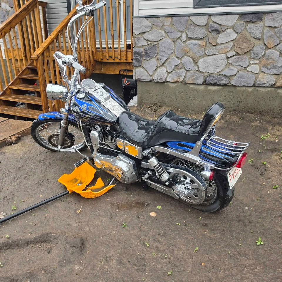 2003 Harley-Davidson Dyna Wide Glide - photo 4