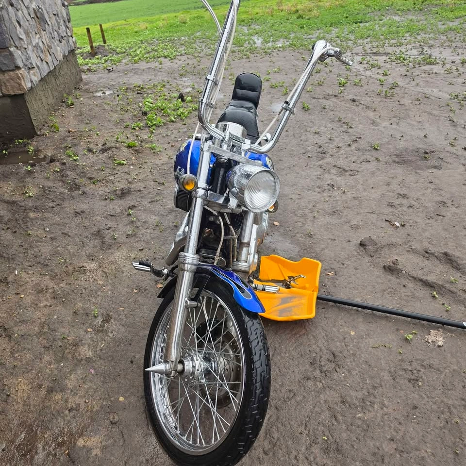 2003 Harley-Davidson Dyna Wide Glide - photo 5
