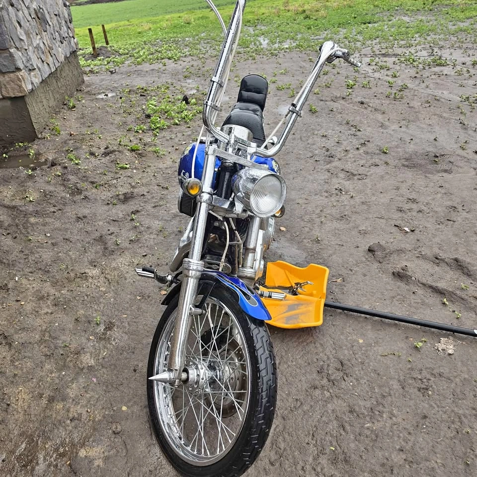 2003 Harley-Davidson Dyna Wide Glide