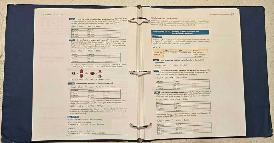 Basic Chemistry - Loose Leaf Edition - photo 3