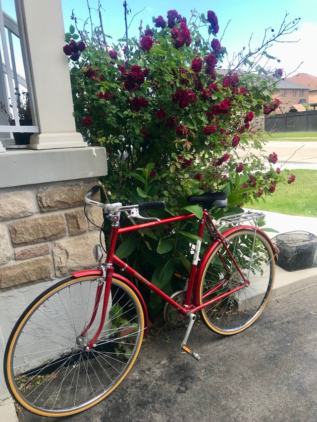 Vintage Raleigh road bike - photo 2