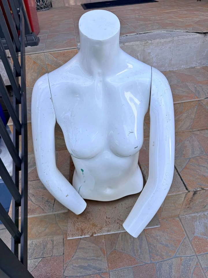 Female Torso Mannequin Display Form – with magnetic arms $30