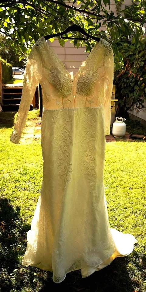 Gorgeous wedding dress