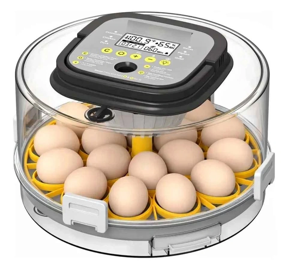 Innoland Automatic Egg Incubator – Brand New